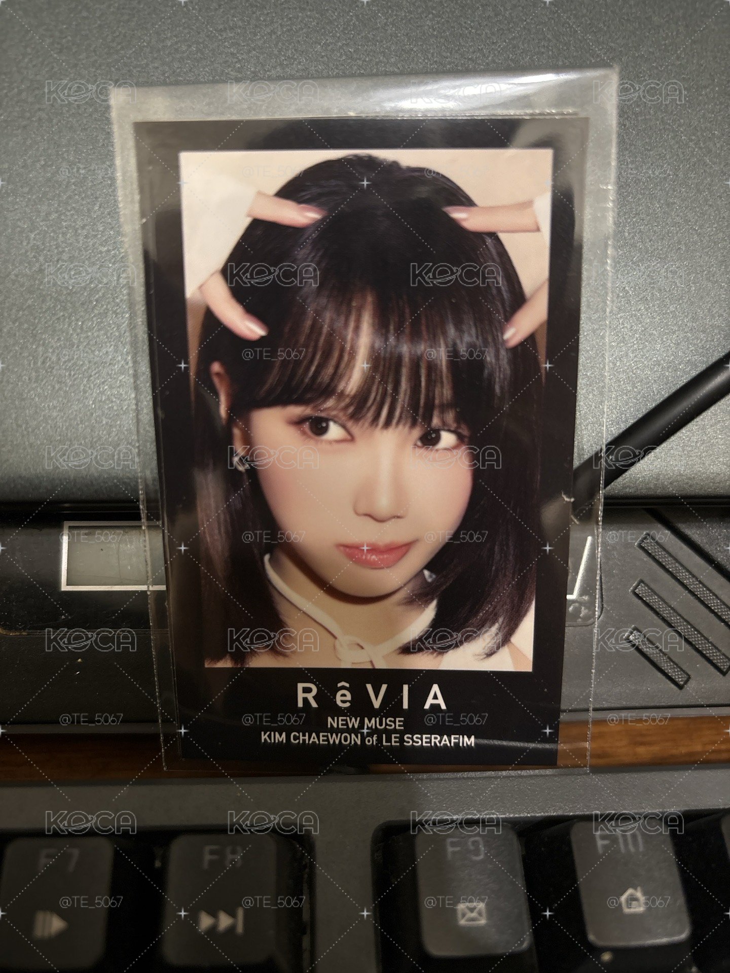 CHAEWON x RêVIA 貼紙 