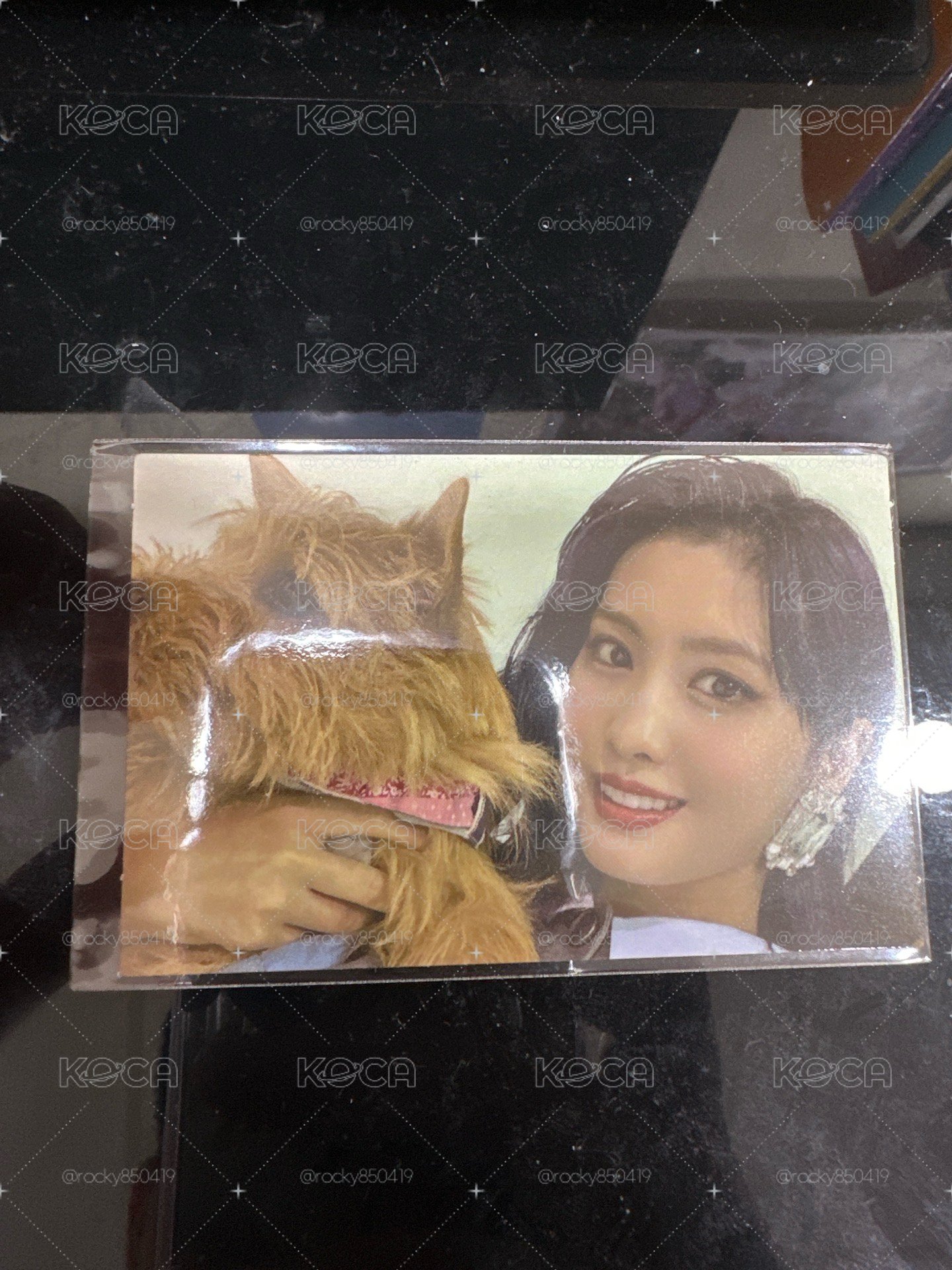 momo&Boo