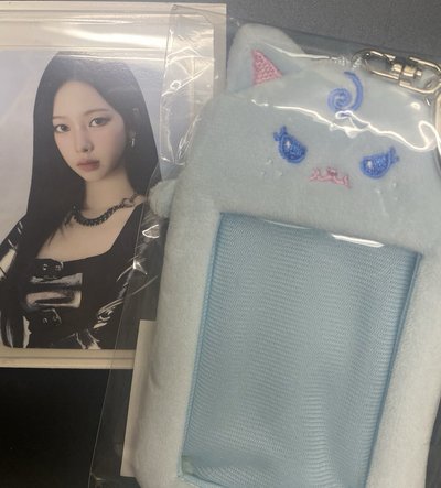 柚二巡毛絨卡套（全新含卡）