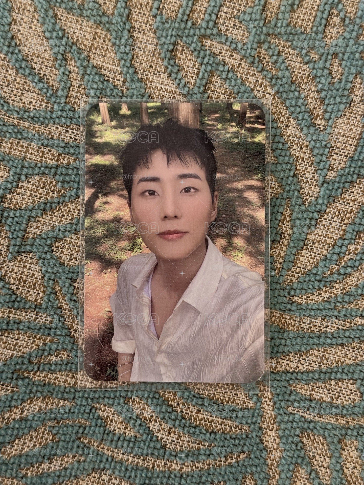 永晛 solo con JYP場週滿額卡🦊#