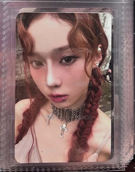 抓馬紅辮冬