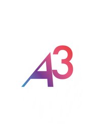 A3