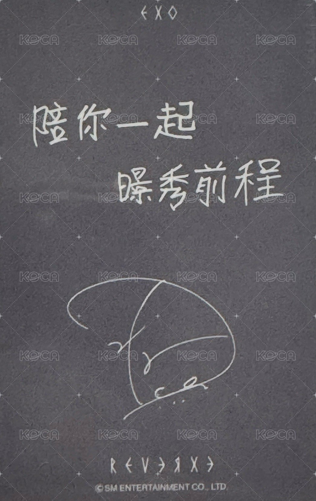 Reverxe 小芒 特典卡 E 背面