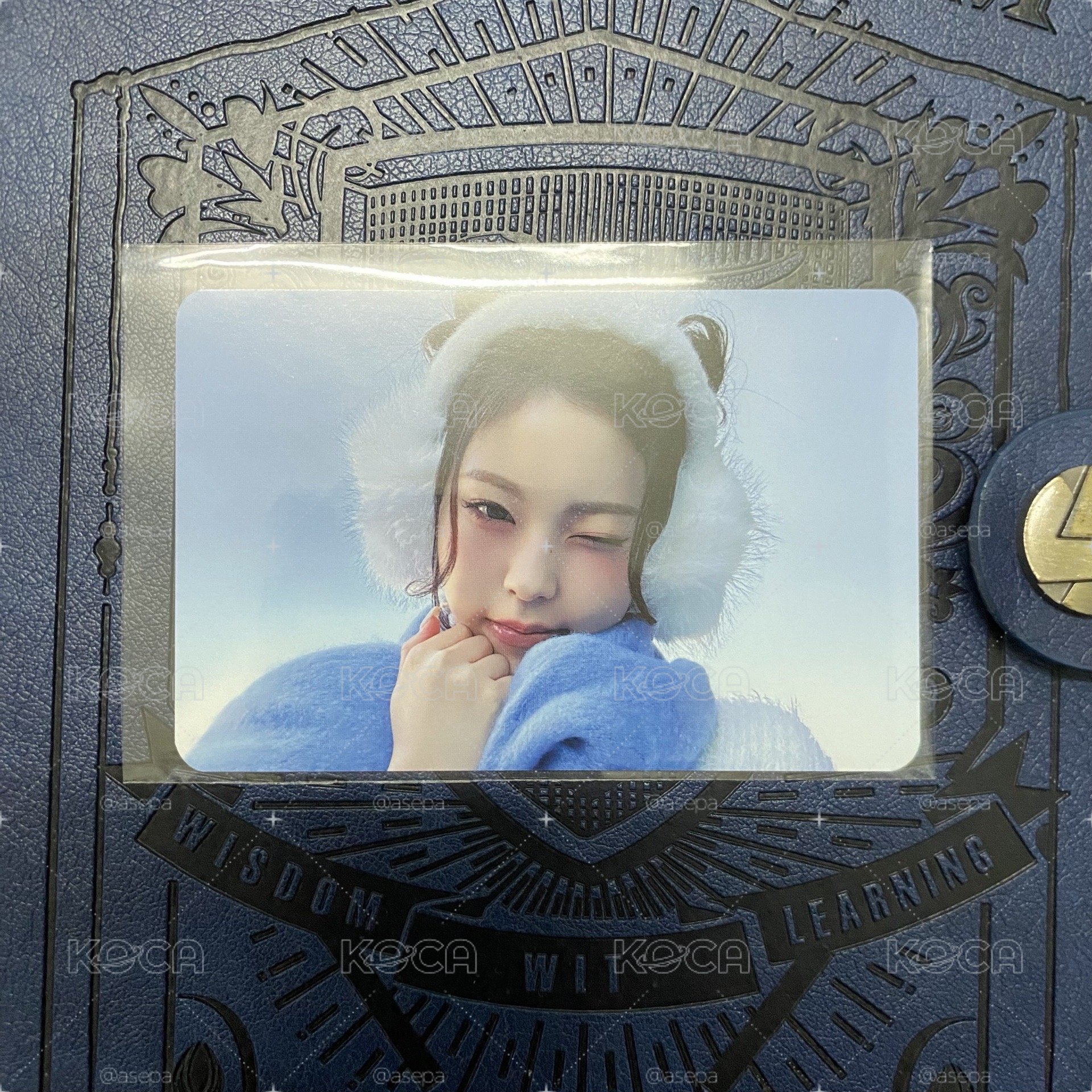 直出）暖呼呼圭
