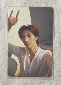 ARENA 雜誌卡 ANTON 1