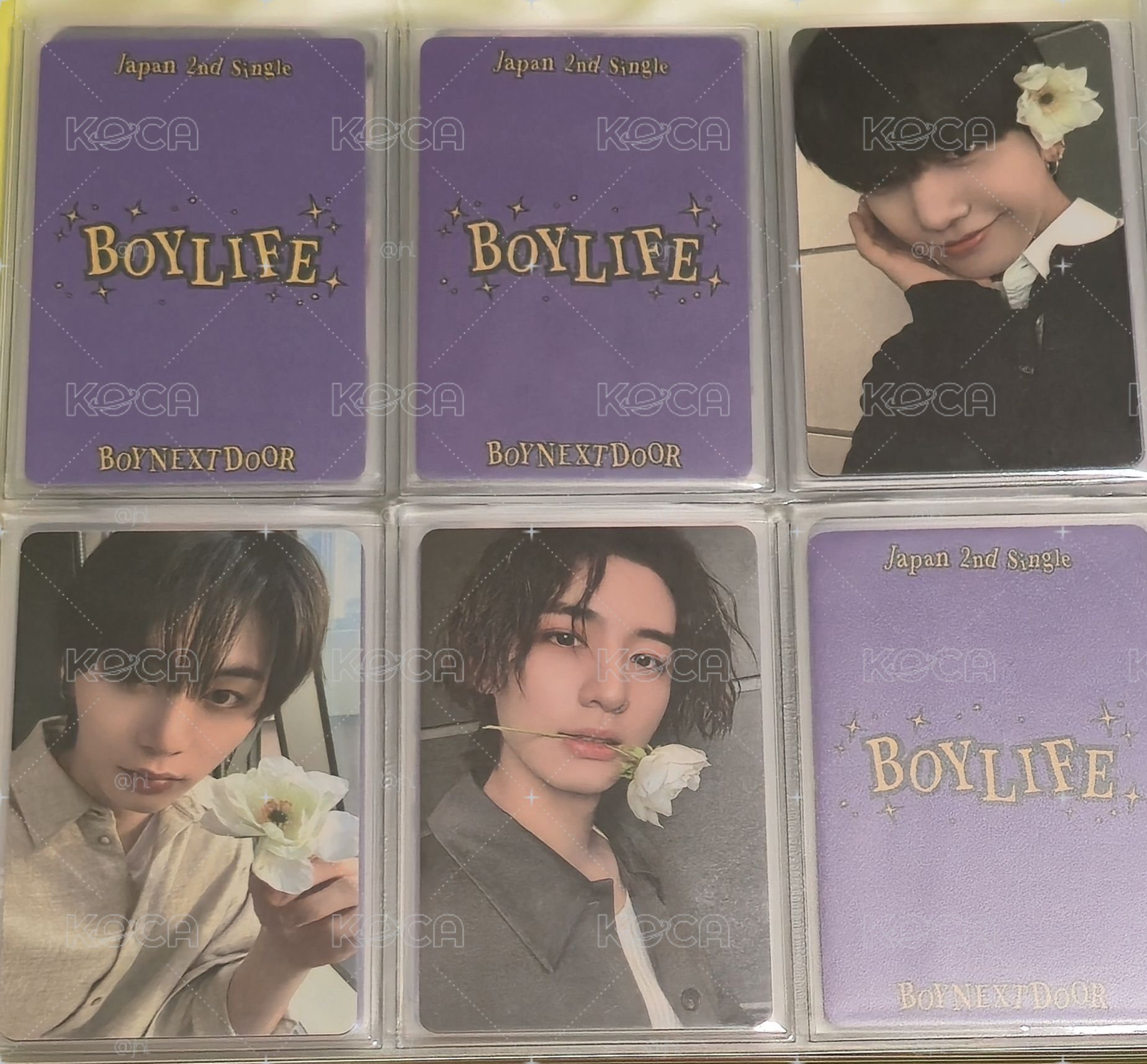 BOYNEXTDOOR THE ACTION WVS 特典卡