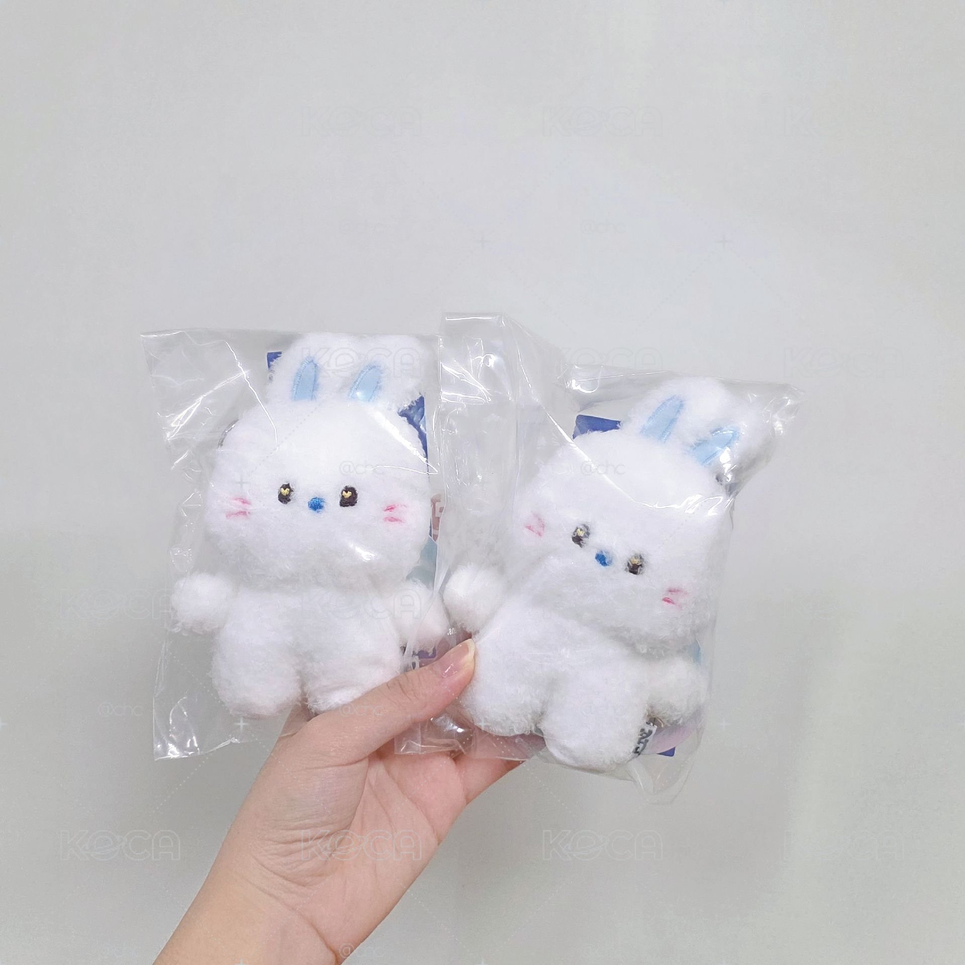 Haerin Bunini中娃