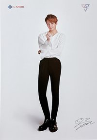 the SAEM 海報 