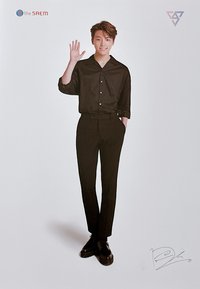 the SAEM 海報 