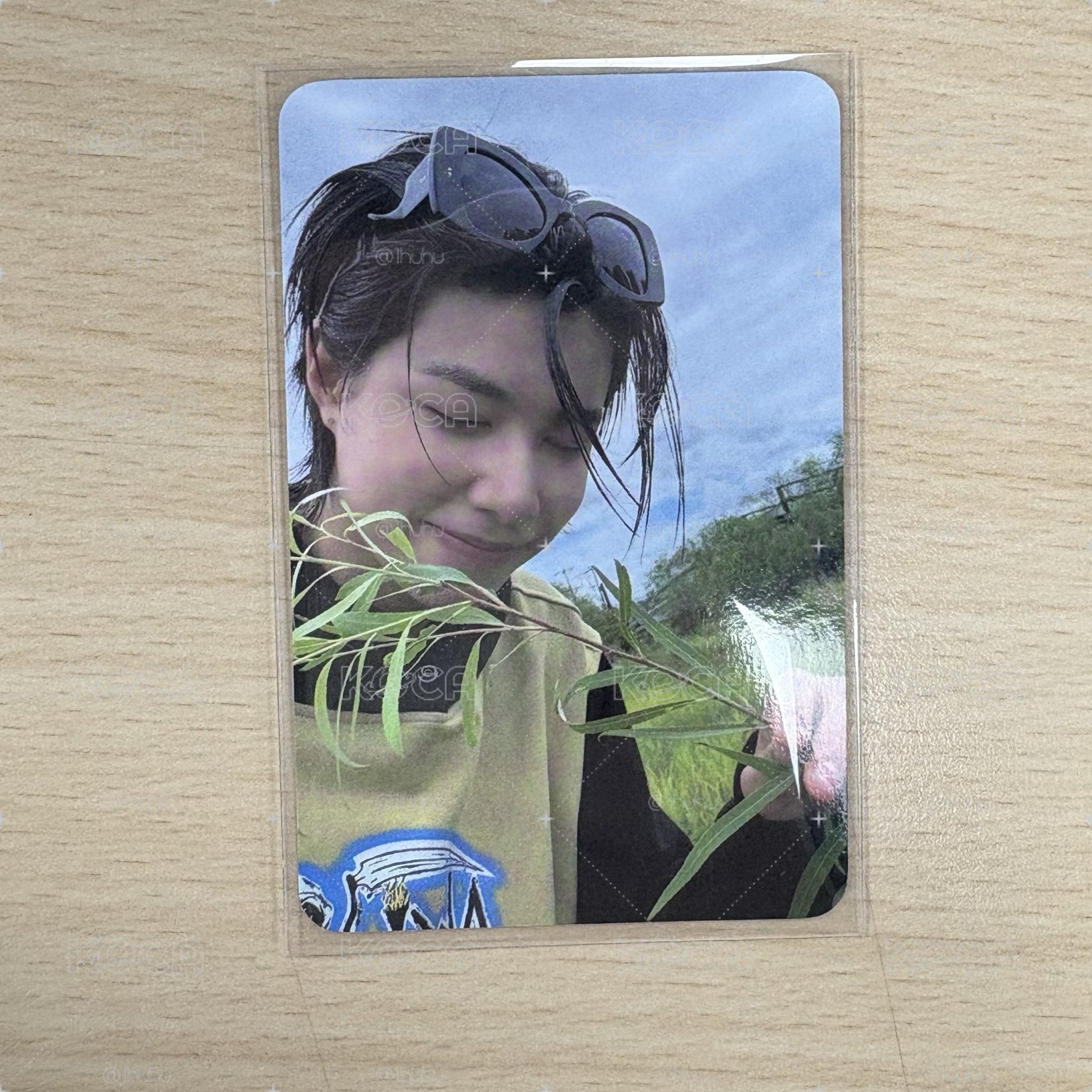 Lngshot 🦞ㅣ路易🐘 貼紙書小卡