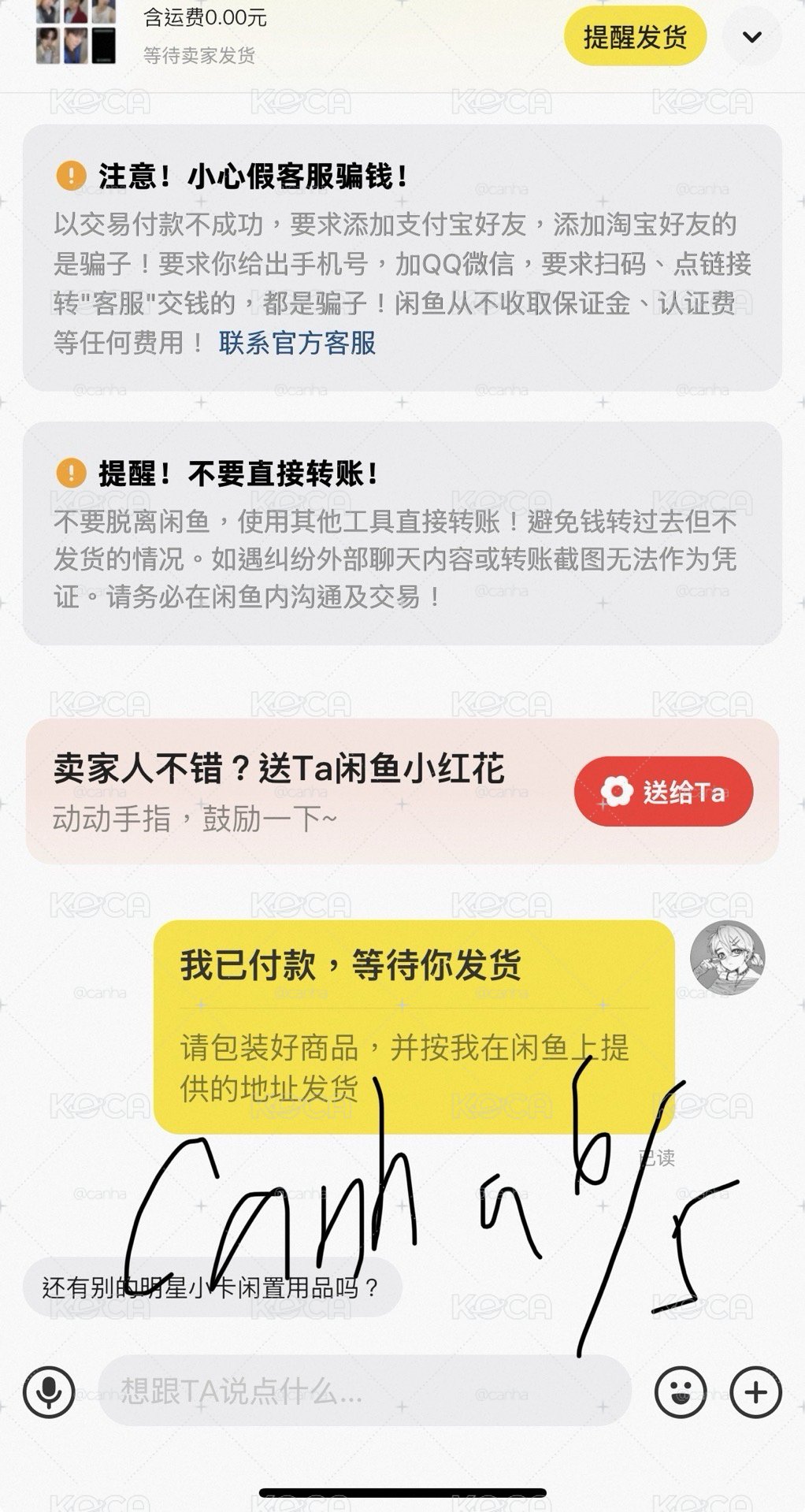 🍎cortis 代購/非現  一直娛幸運卡