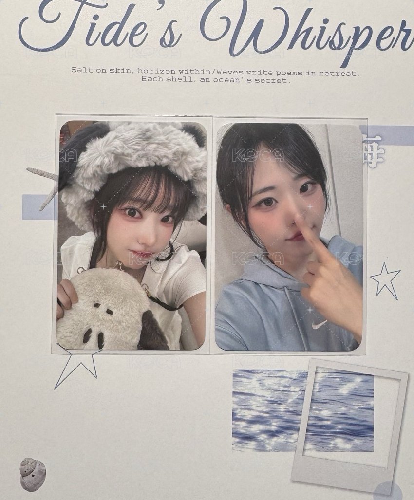 小狗帽塔+鼻叮咚娜