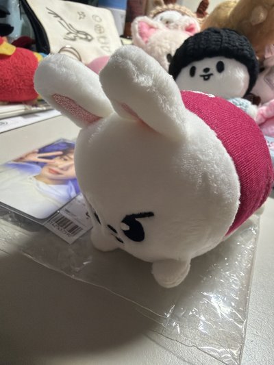 李畢趴趴