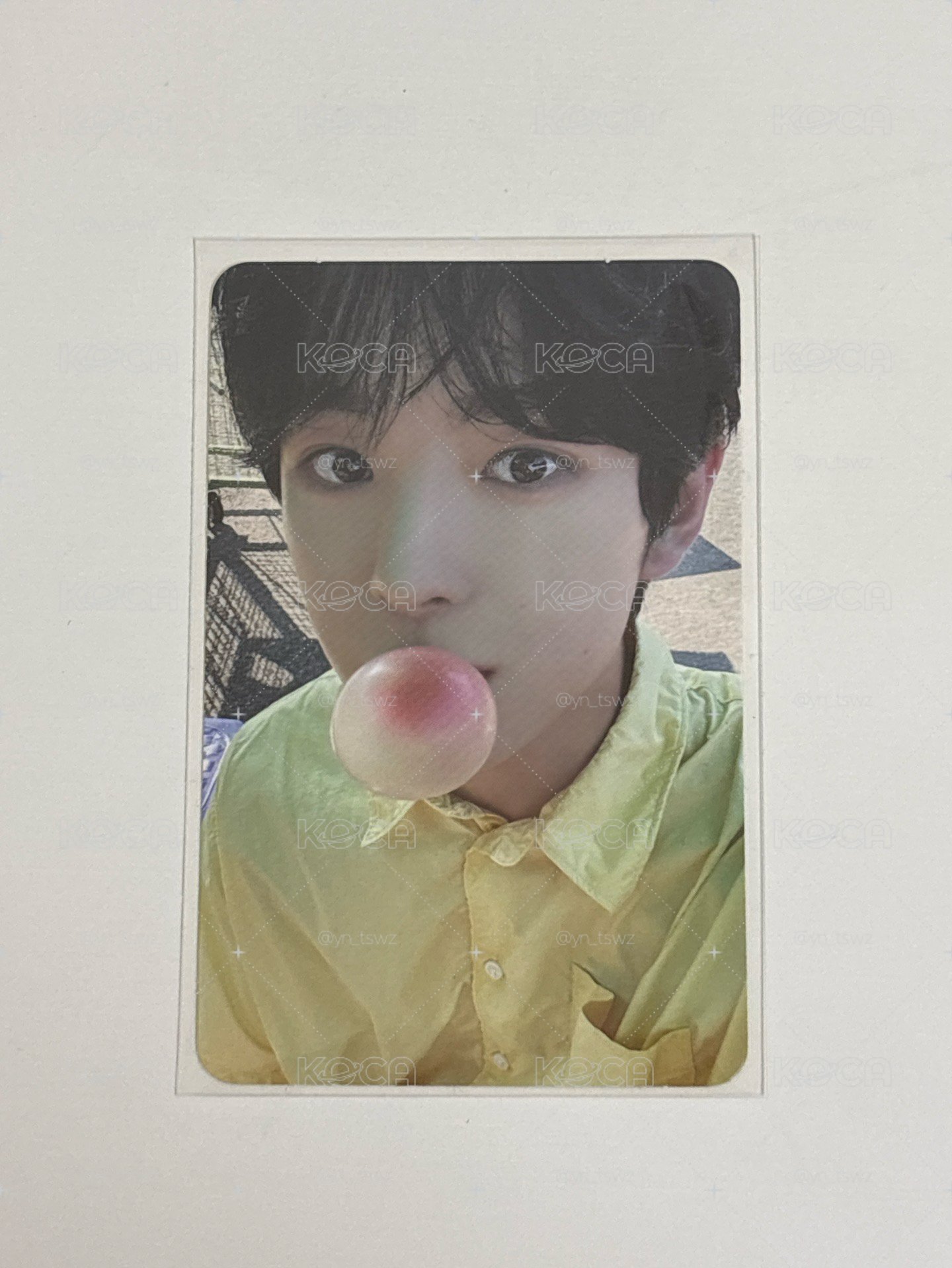 NCT WISH 小卡