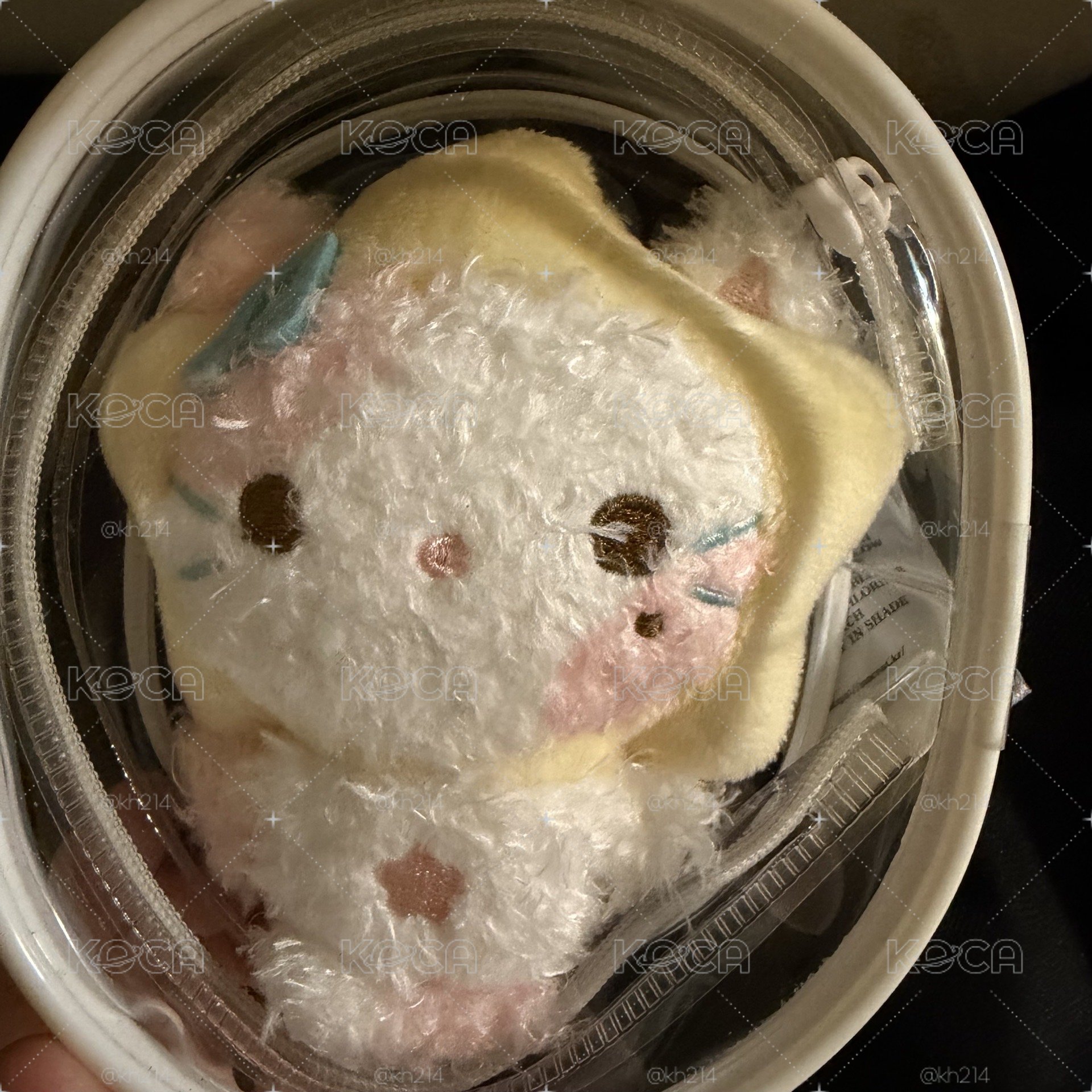 Stella官娃 🐱