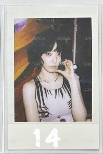 14（🍒）