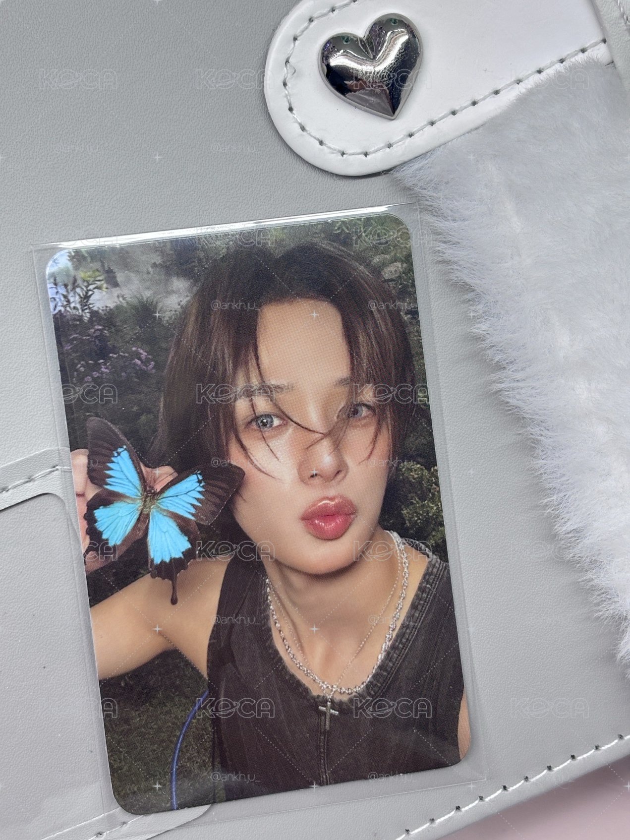 蝴蝶K🦋～