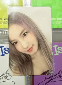 四巡DVD紗