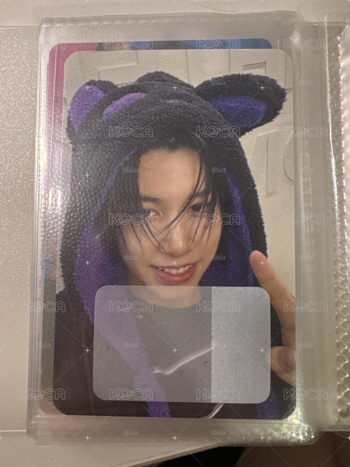 黑貓Louis