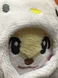 진이