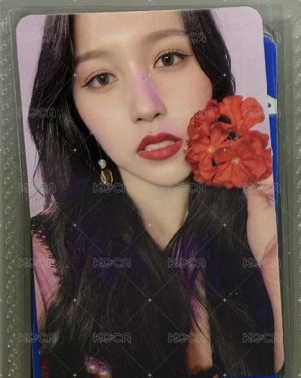 紅花咪咪