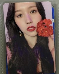 紅花咪咪