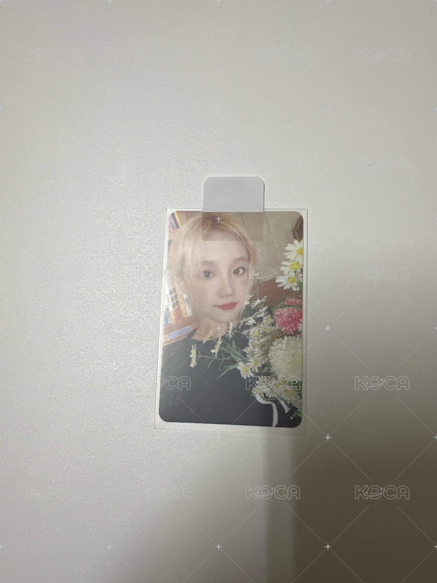 捧花琦（雙面）