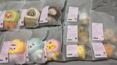 ！現貨！ICE CREAM MINITEEN 娃