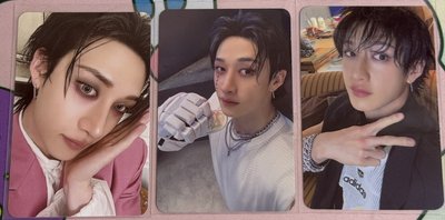 Stray Kids 燦卡