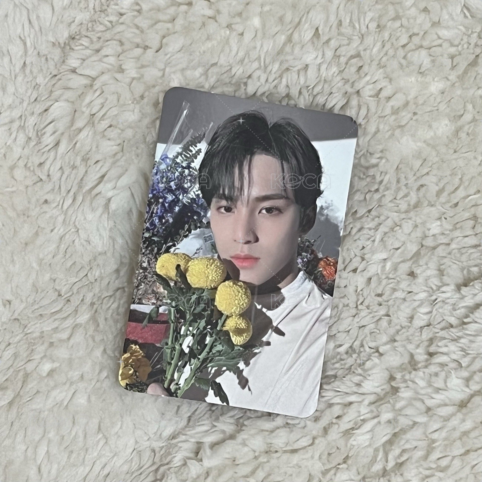 💐（直購）