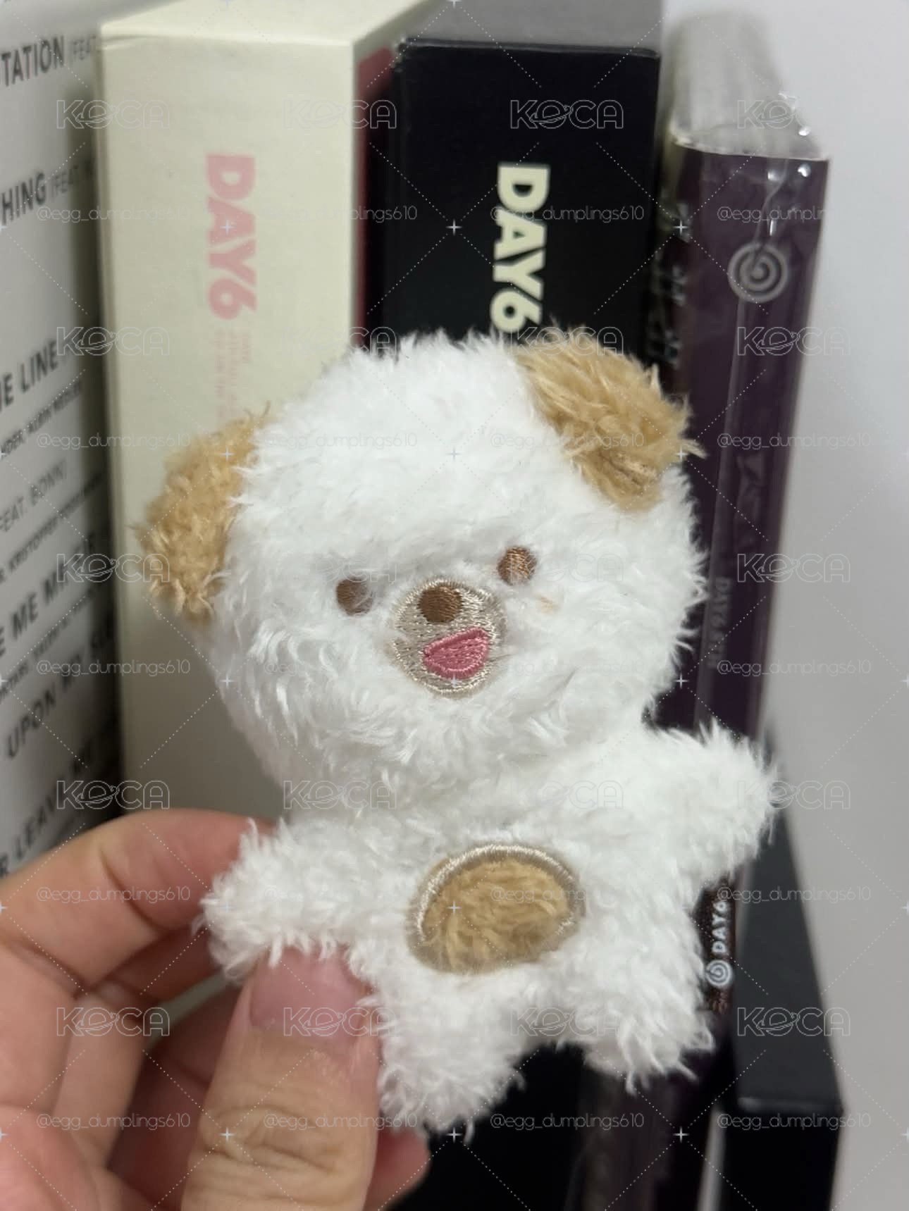代友出 Day6 Don磁鐵狗