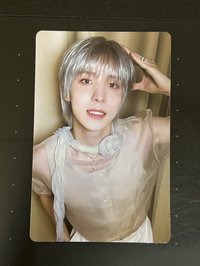 狗狗潤