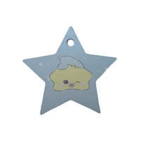 世巡快閃 任務卡 星星卡