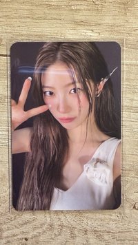 寫真葉