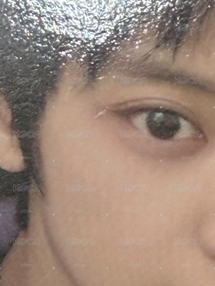 EXO 2026年曆拆售