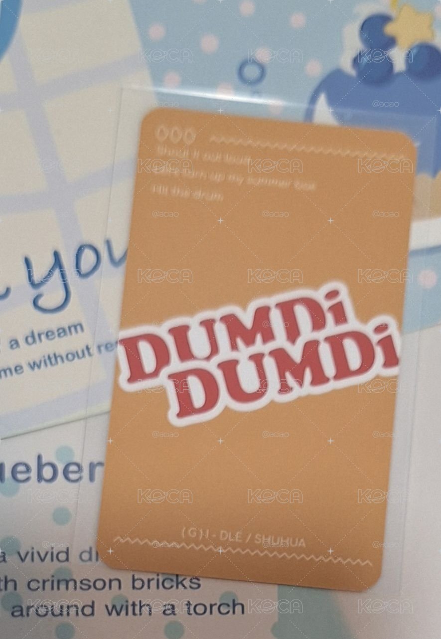 DUMDi頂熊刷