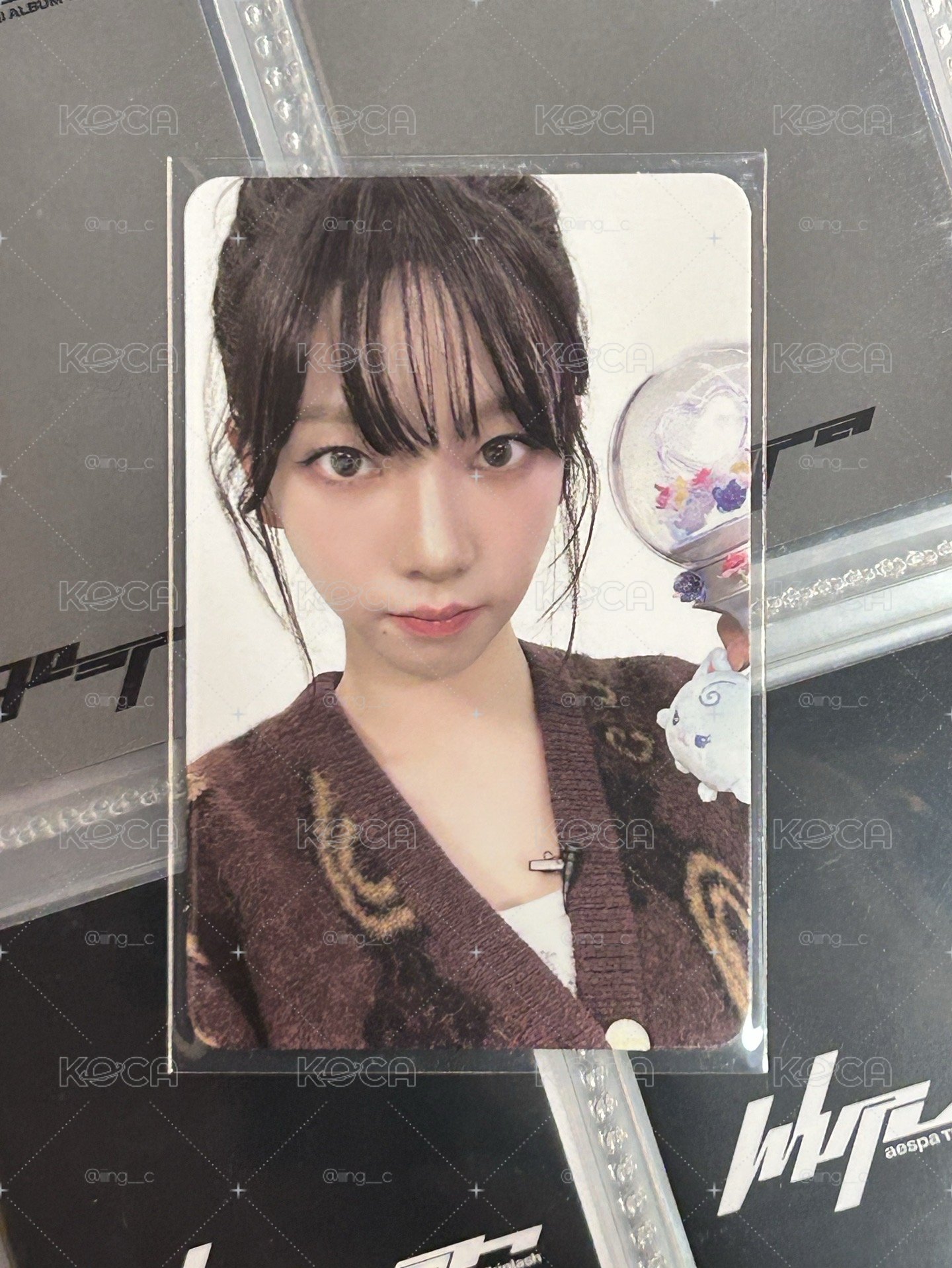 aespa Karina 二巡pb柚