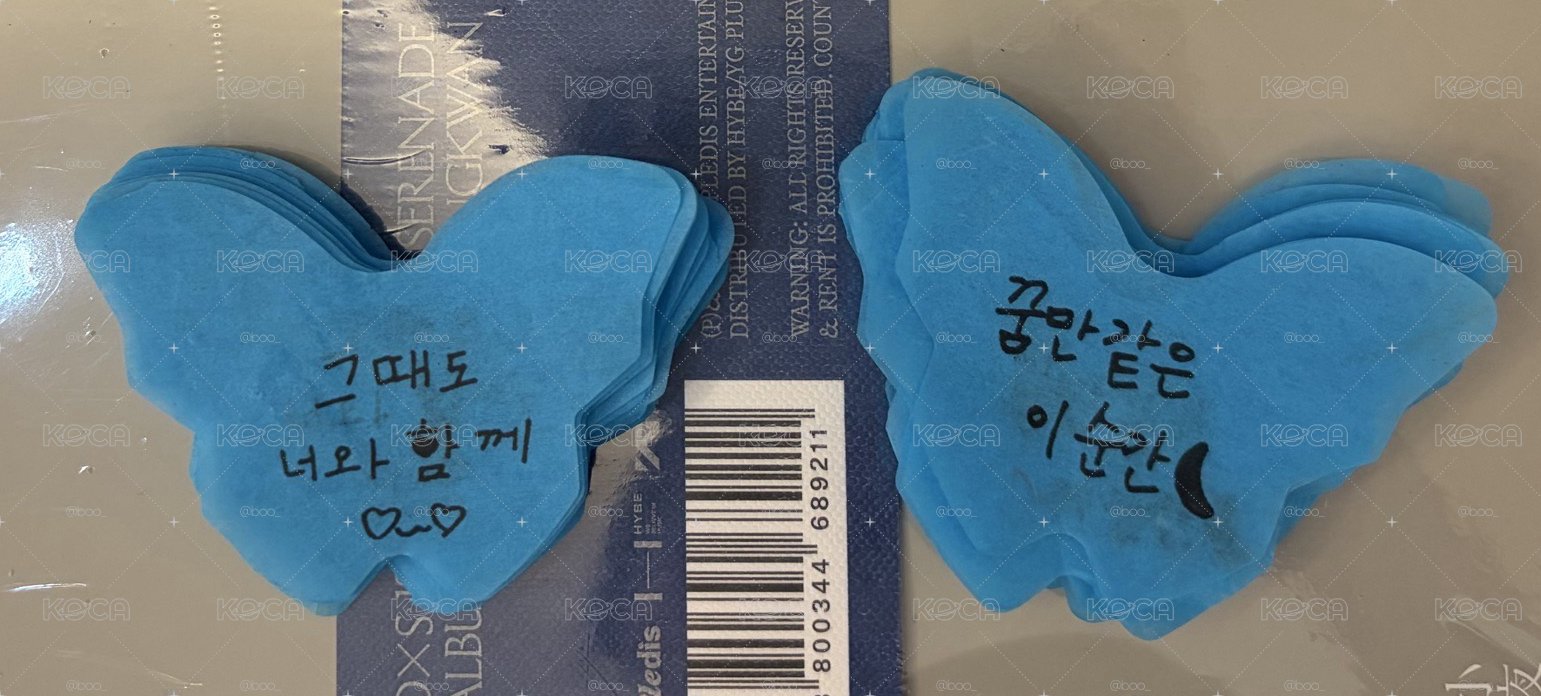 DxS 碩寛 克拉粽 贈蝴蝶紙花一組