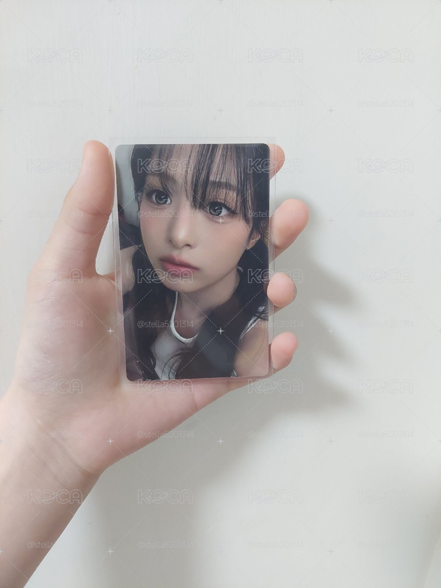 大眼萌賢