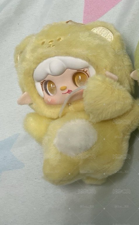 睡覺熊
