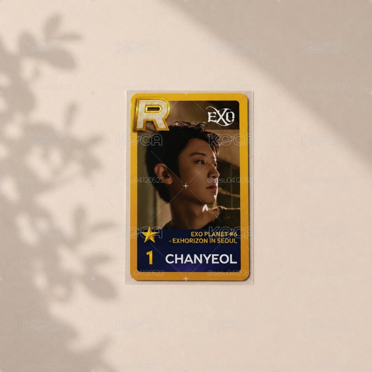 朴燦烈 金邊遊戲任務卡