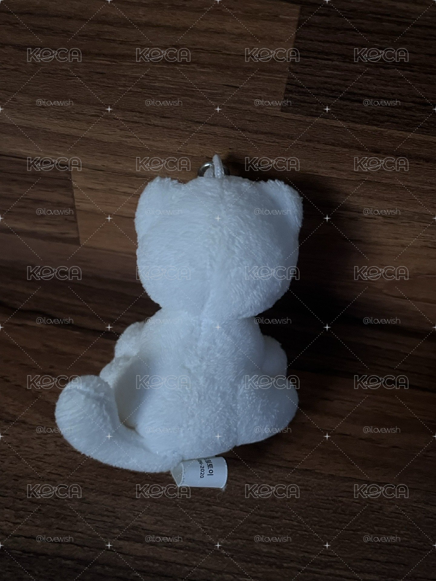 吐貓