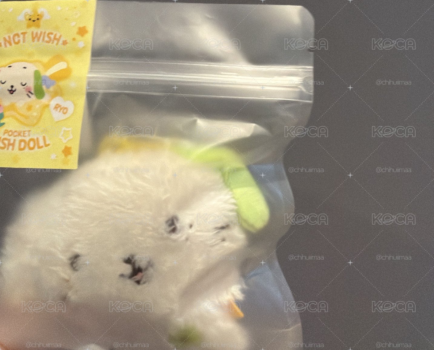 Nct wish ryo 口袋娃