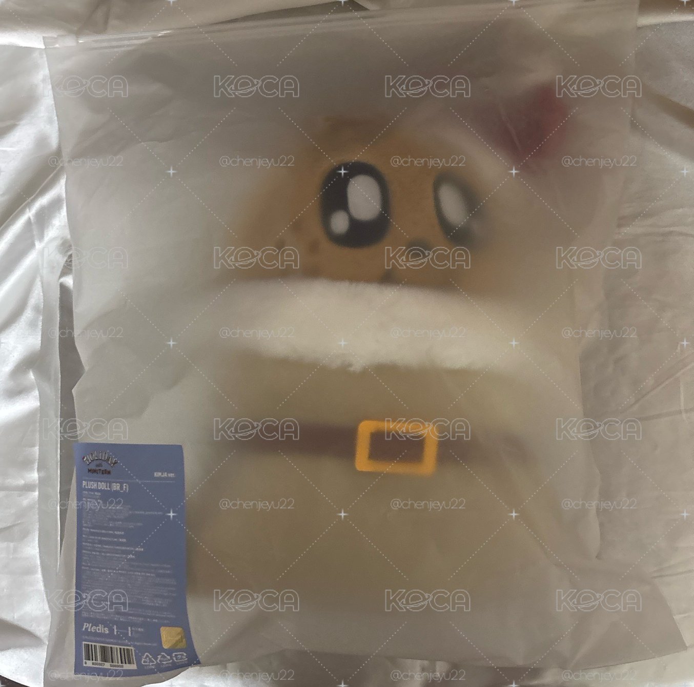 奎聖誕MINITEEN 聖誕襪娃 娃娃玩偶 