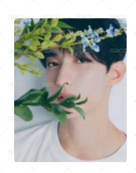 精選專 親愛盤 碩空專