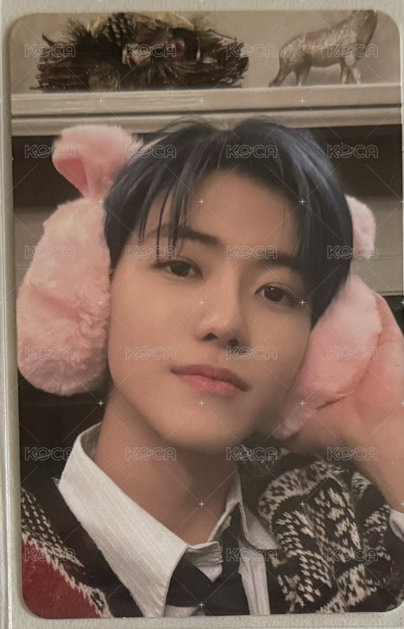 🐰