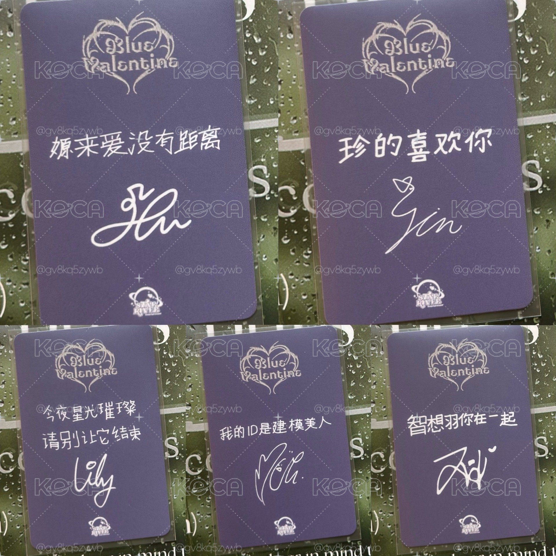 正規一 sr 4.0 簽售卡 吸血鬼貓