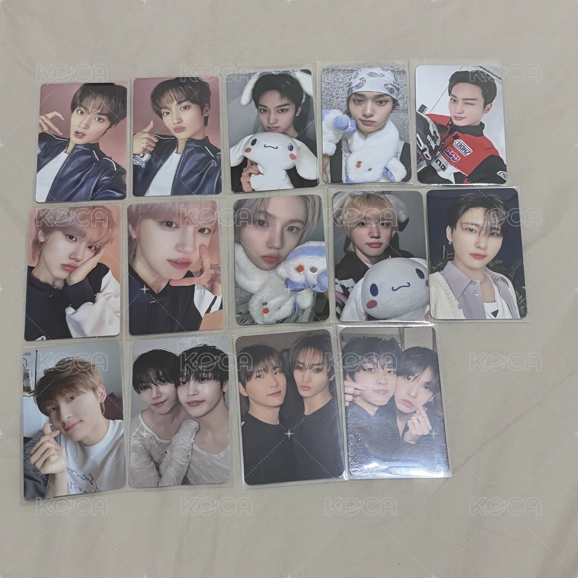 太榮大耳狗