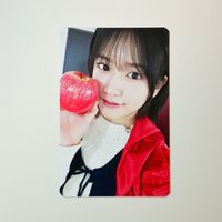 🐶 蘋果安