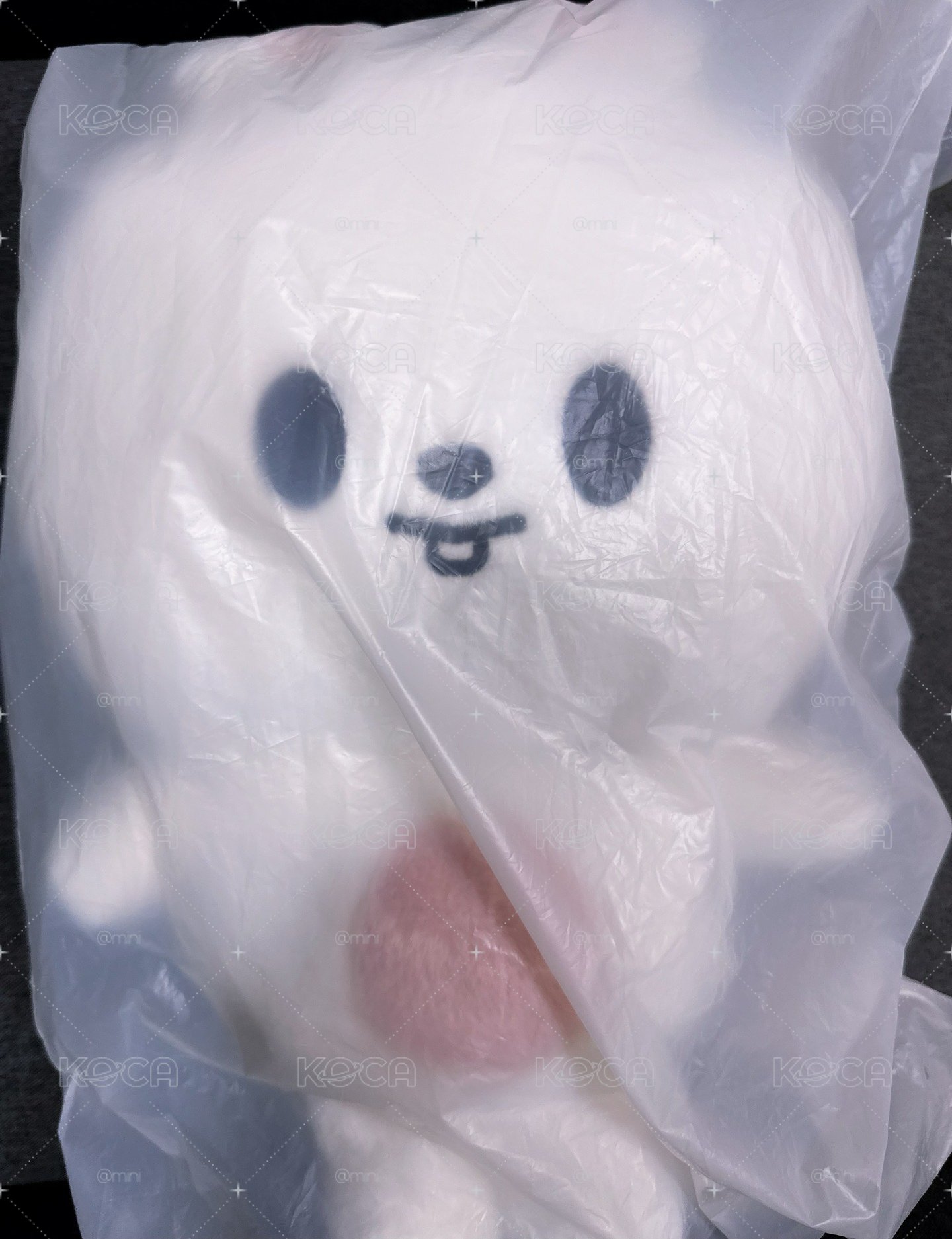李畢後背包